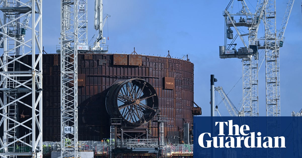£700m plan with ‘fish disco’ could save 90% of marine life, says Hinkley Point C study