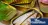 Extra fishy: your tinned mackerel may not be what you think it is